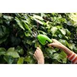 Садовые ножницы аккумуляторные  Greenworks Арт. 1600107,  7,2V  со встроенным аккумулятором 2 Aч