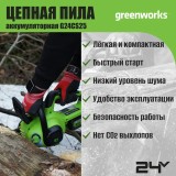 Цепная пила аккумуляторная Greenworks G24CS25, 24V, 25см, c 1хАКБ 8Ач и ЗУ (2007707UH)