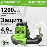 Ранцевая воздуходувка аккумуляторная Greenworks GD40BPG2, 40V, бесщеточная, с 1хАКБ 4 Ач и ЗУ (2408107UB)