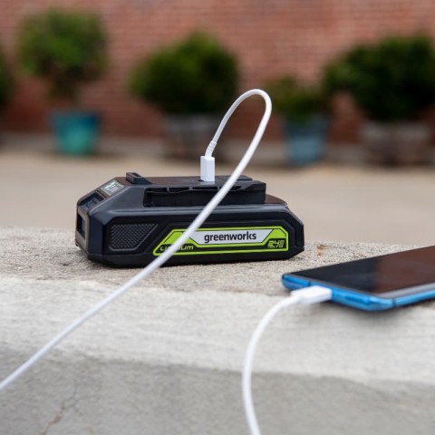 Аккумулятор с USB разъемом Greenworks Арт. 2939207, 24V, 2 Ач