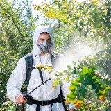 Опрыскиватель аккумуляторный Greenworks G24BPSII, 24V, c 1хАКБ 2Ач и ЗУ (5300307UA)